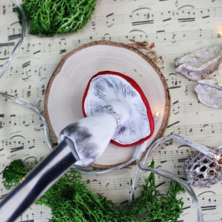 Łyżeczka do kawy Grzybek